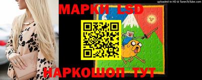 apvp Братск