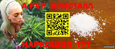 apvp Братск